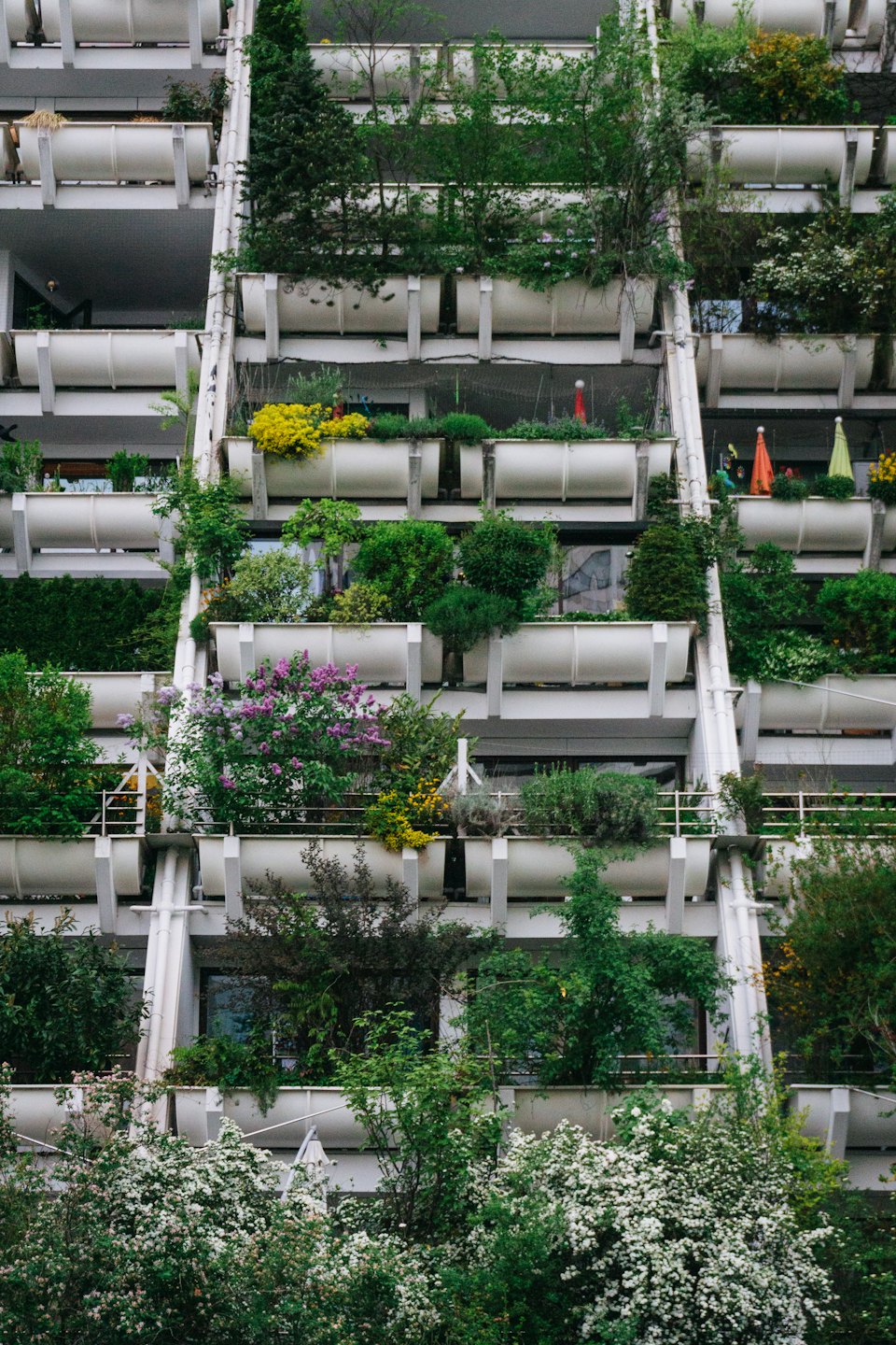 Modern building facade covered in lush green plants and flowers on balconies.